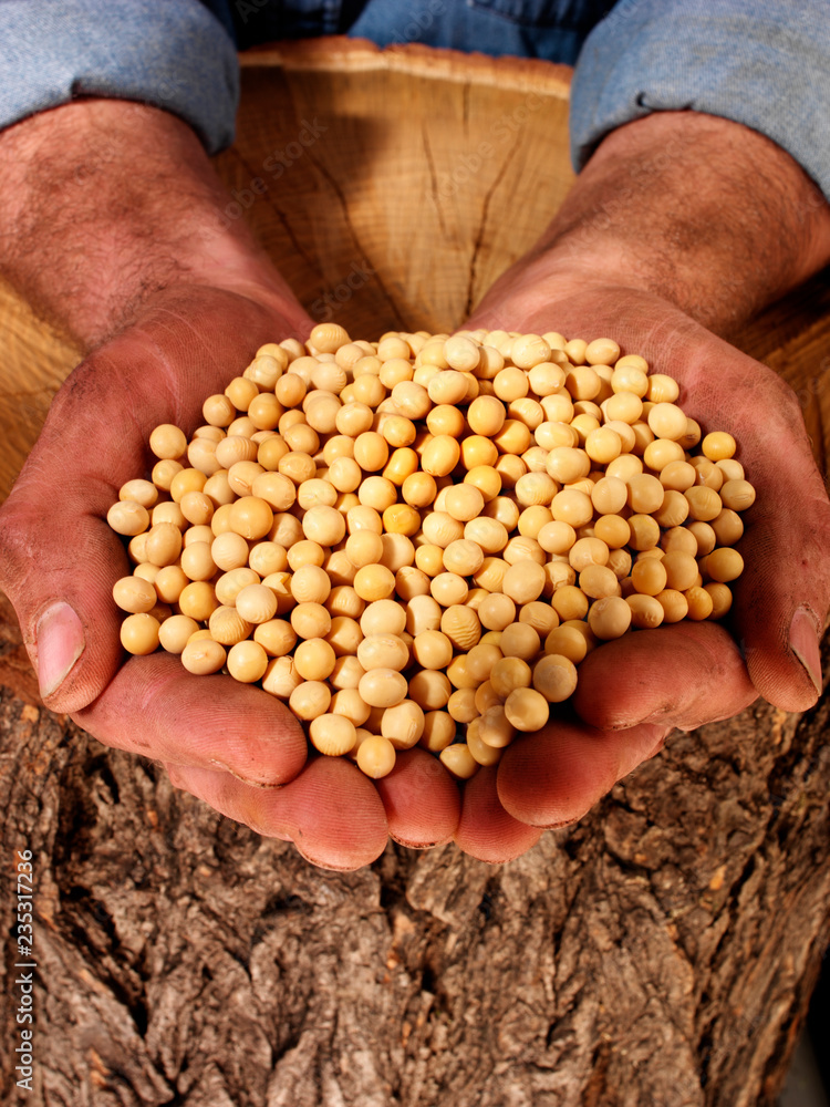 Poster farmer holding soya beans.