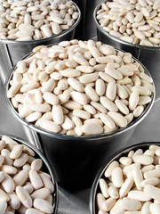 CONTAINER FULL OF ALUBIA BEANS