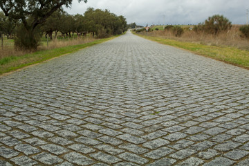 Fototapeta premium Cobble stone road shot from low angle