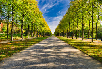 Baum Allee in Hannover, Deutschland im Herbst mit einem breiten Sandweg und Sonnenstrahlen die...