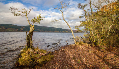 Loch Ness Autumn
