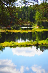 Fototapeta na wymiar Finland South Natural Reserve nature lake gree trees view