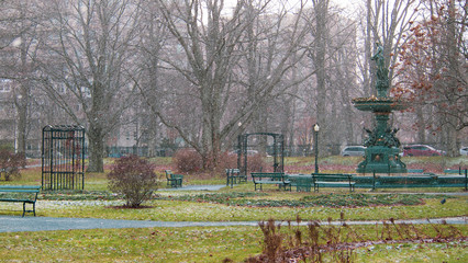 Halifax Public Gardens in winter with flurries, no people.