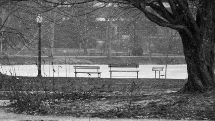 Black and white snow flurries in park with benches in distance, no people.