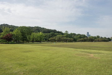 Fototapeta na wymiar Seoul National Cemetery, Seoul, South Korea