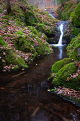 Small hidden waterfall on a hike through a forest, wonderful autumn scene with moss, small stream and blurred water flowing from the rocks. Quiet, clean and serene scenery.