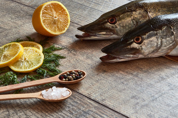 Two fresh pike fish on a wooden table with spices, dill, Himalayan salt and lemon. Close up top view