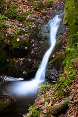 Small hidden waterfall on a hike through a forest, wonderful autumn scene with moss, small stream and blurred water flowing from the rocks. Quiet, clean and serene scenery.