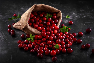 Cranberries in Burlap bag. Freshly picked, organic, rustic style.