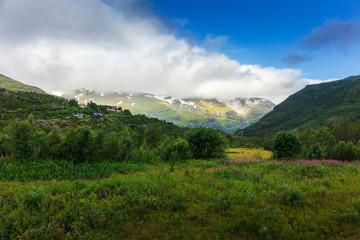 Fototapeta na wymiar summer mountain landscape of Norway
