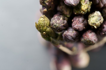 A bunch of purple Asparagus with copy space.