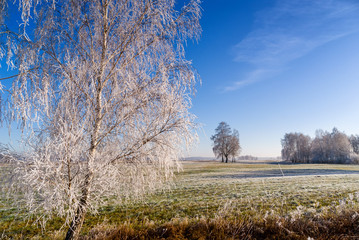Podlasie - piękno natury. Słoneczny poranek z mrozem i szronem © podlaski49