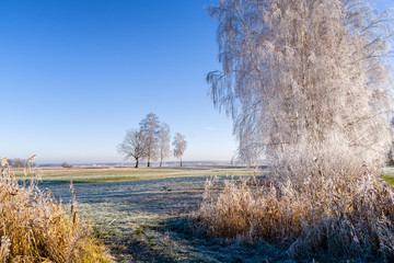 Podlasie - piękno natury. Słoneczny poranek z mrozem i szronem © podlaski49