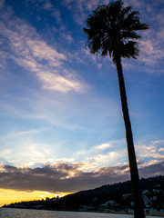 palm tree in the sunset on the Mediterranean coastline