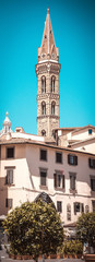 Obraz premium High narrown tower in Florence city in Italy