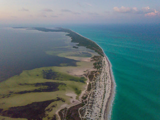 Fotografia aerea con dron en isla blanca cancun playa
