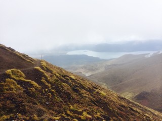 berg, landschaft, himmel, natur, berg, anblick, neuseeland, hills, -täler, wald, green, anreisen,...