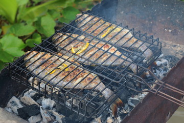 Fish, dorado on the grill