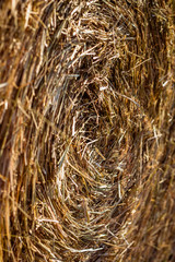 Runder Strohballen in der Nahaufnahme