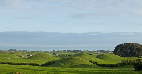 Obraz premium New Zealanad, nature