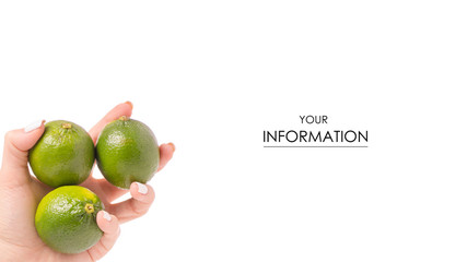 Limes in hand pattern on a white background isolation
