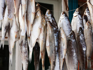 Dried fish hanging on a rope