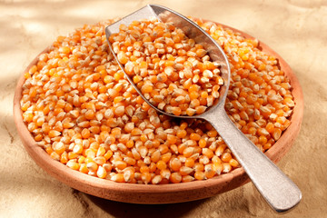 POPPING CORN OR CORN KERNELS
