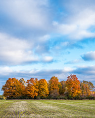 Fototapeta premium Farmland in autumn