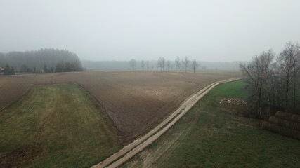 road field meadow crop fog autumn gray gloomy autumn trees © DEM