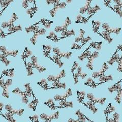floral pattern illustration