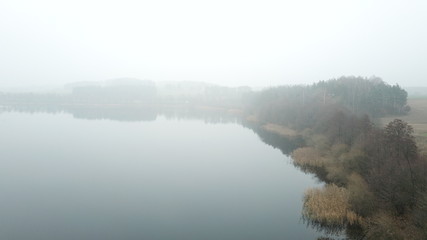water lake shore calamus reed rushes fog