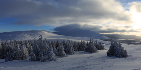 Sancy - Auvergne - France