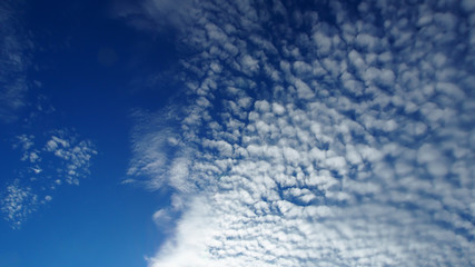 Naklejka na ściany i meble white clouds and blue sky