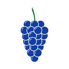 Blue grape vector icon. Flat design.