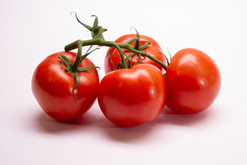 tomatoes isolated on white background
