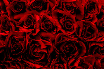 Red rose background, Fake flower.
