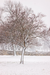 Fortress under snow