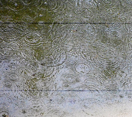 rain drops in winter