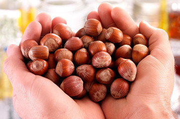HANDS HOLDING HAZELNUTS