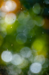 Abstract natural background of blurred leaves, soft focus bokeh lights and golden blurred water...