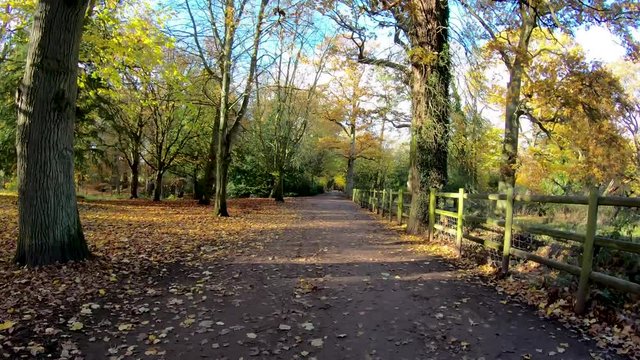 Hyper lapse walk along a path through a country park near Coventry towards a lake on an autumn day