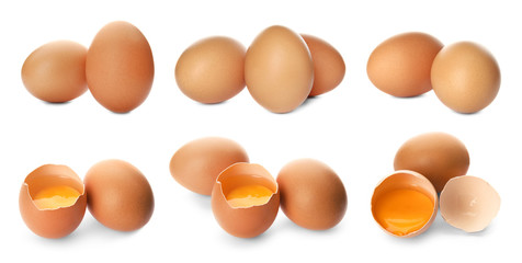 Set with fresh eggs on white background