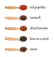 Wooden spoons with different spices on white background, top view. Collection with names
