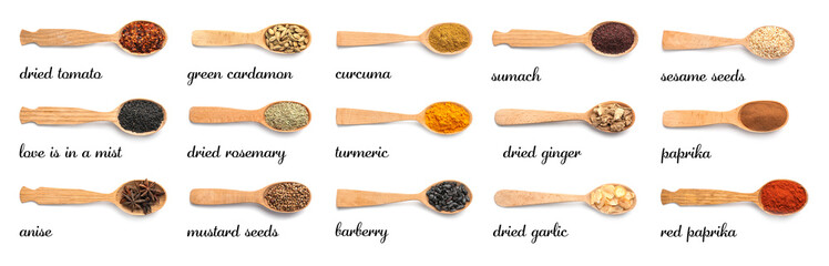 Wooden spoons with different spices and herbs on white background, top view. Large collection with names