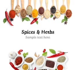 Fotobehang Kruiden Set of different spices and herbs with space for text on white background, top view