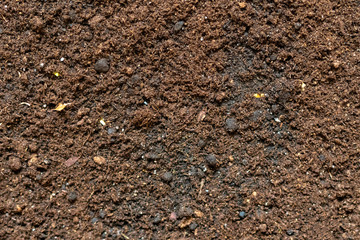 organic soil background texture f