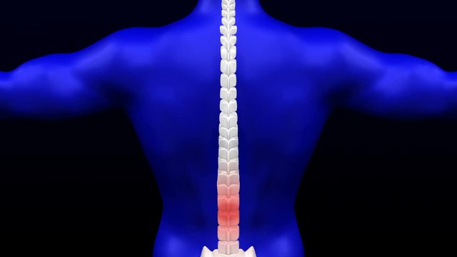 Lower back pain. Red blinking on the backbone. Loopable. Luma matte. 3D rendering.