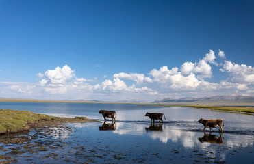Landschaft am Song Köl See in Kirgistan