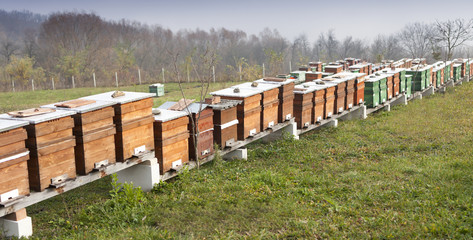 Naklejka premium Farm of beehive in Sic village, Transylvania, Romania