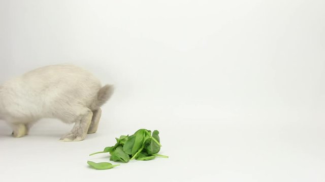 Bunny hop across frame